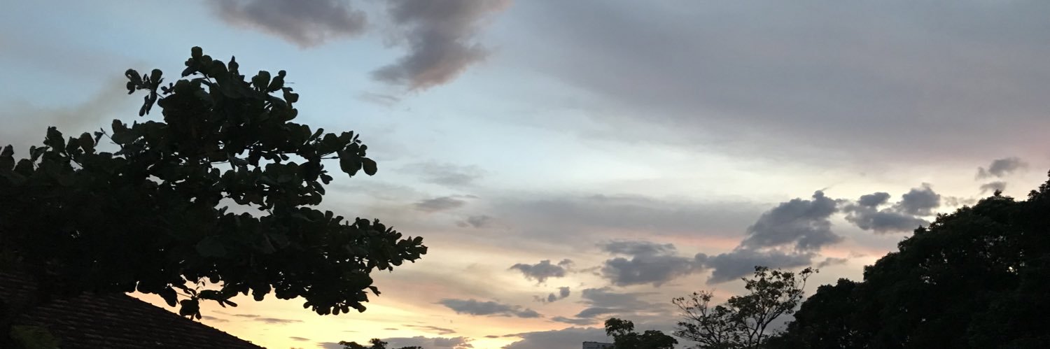 sandracrocha's profile banner image