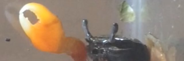 Alejandro londoño banner