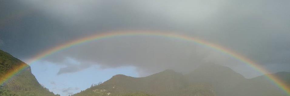 🏳️‍🌈Jac's🏳️‍🌈 banner