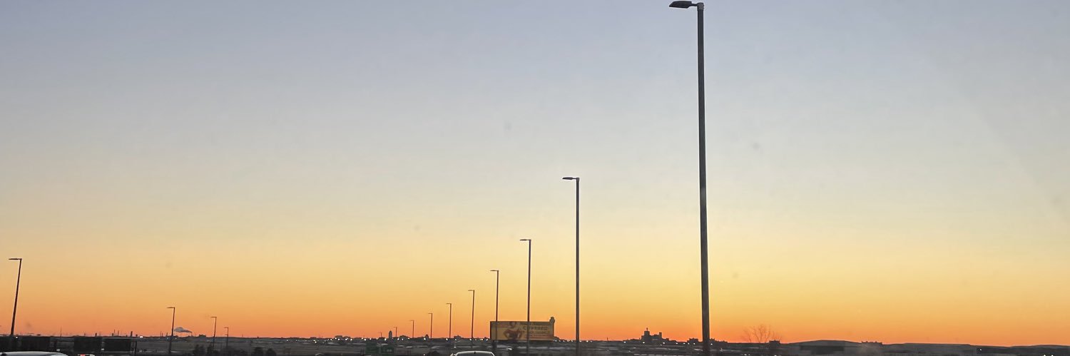 anicolexo_'s profile banner image