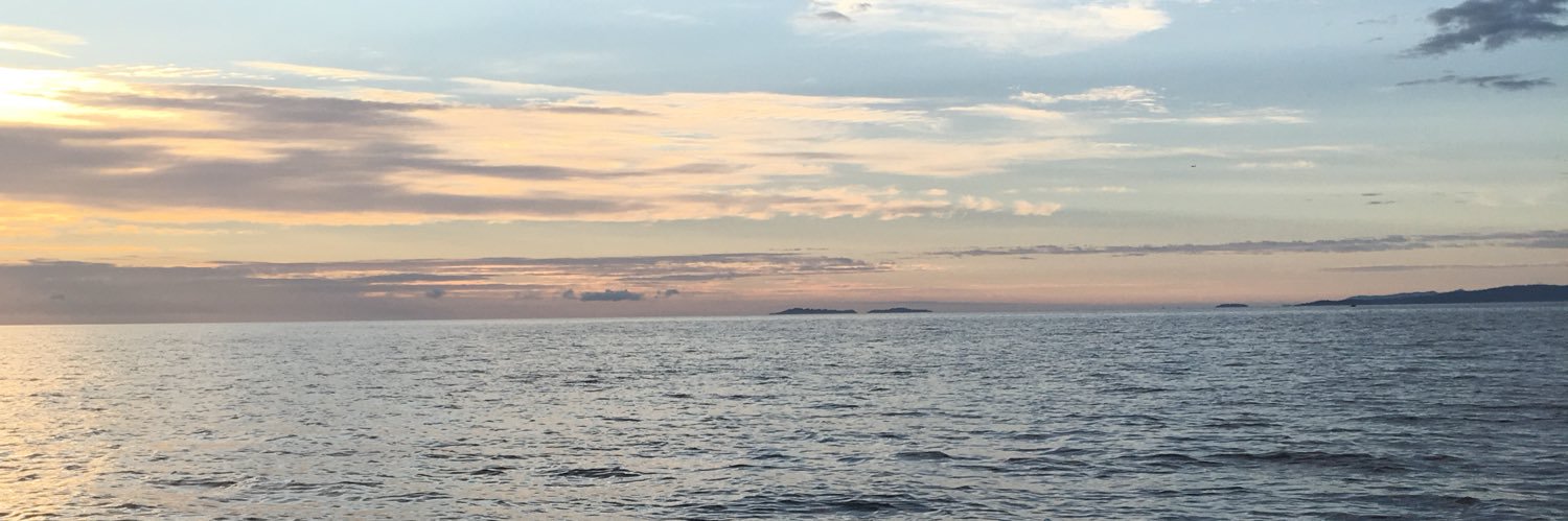 rees_knight10's profile banner image