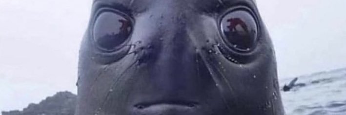vuBran's profile banner image