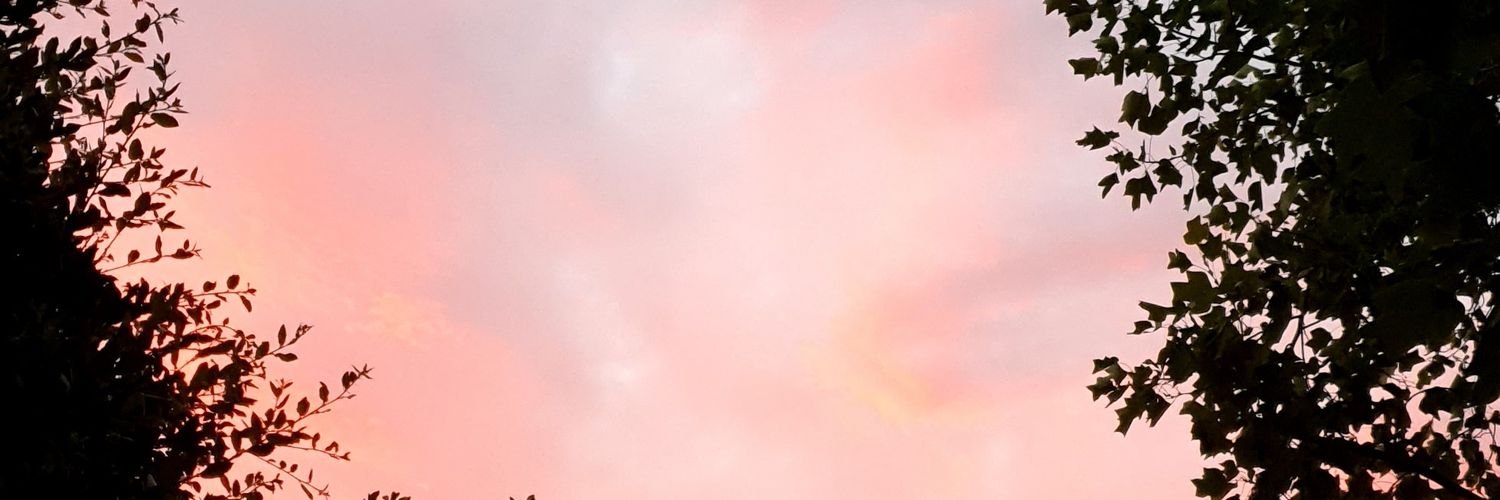 So-yeon Kim 💙 banner