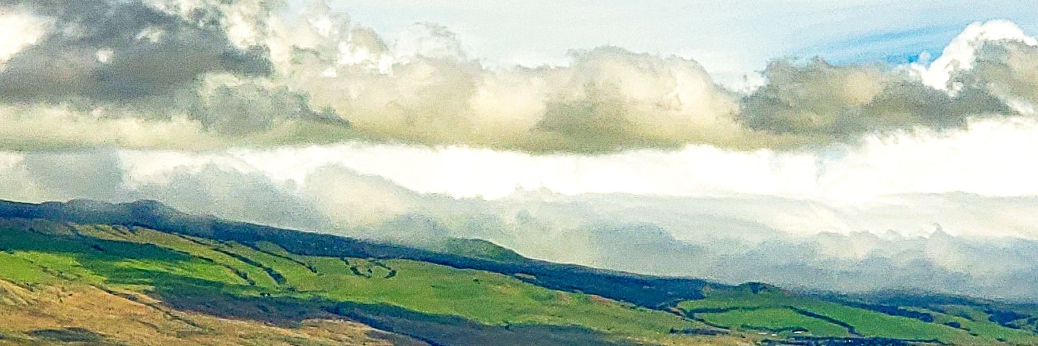 huskyinnc2's profile banner image