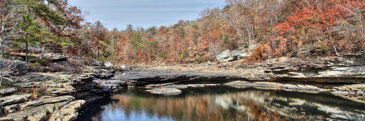 Stephan Frank banner