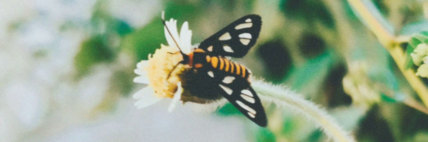 rahmfath's profile banner image
