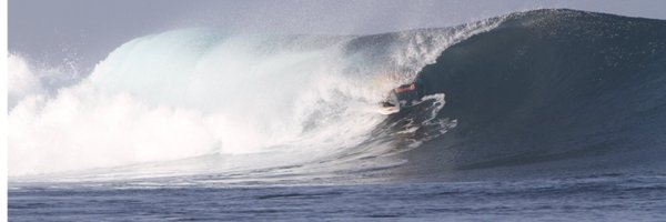 theslothdog3000 Profile Banner