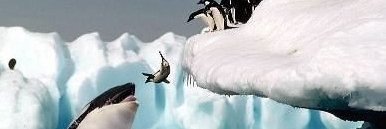 2DrunkPenguins's profile banner image