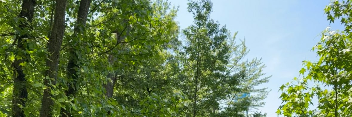 brwn_b's profile banner image