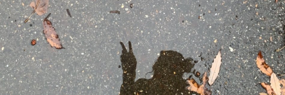nataleeadams's profile banner image