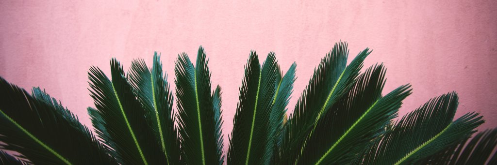 MegkV2's profile banner image