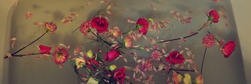 Lush__love's profile banner image
