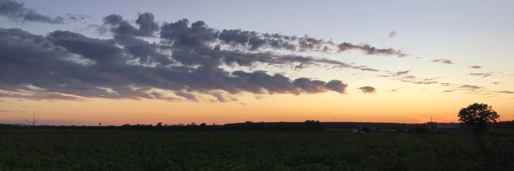 CheyBerry's profile banner image