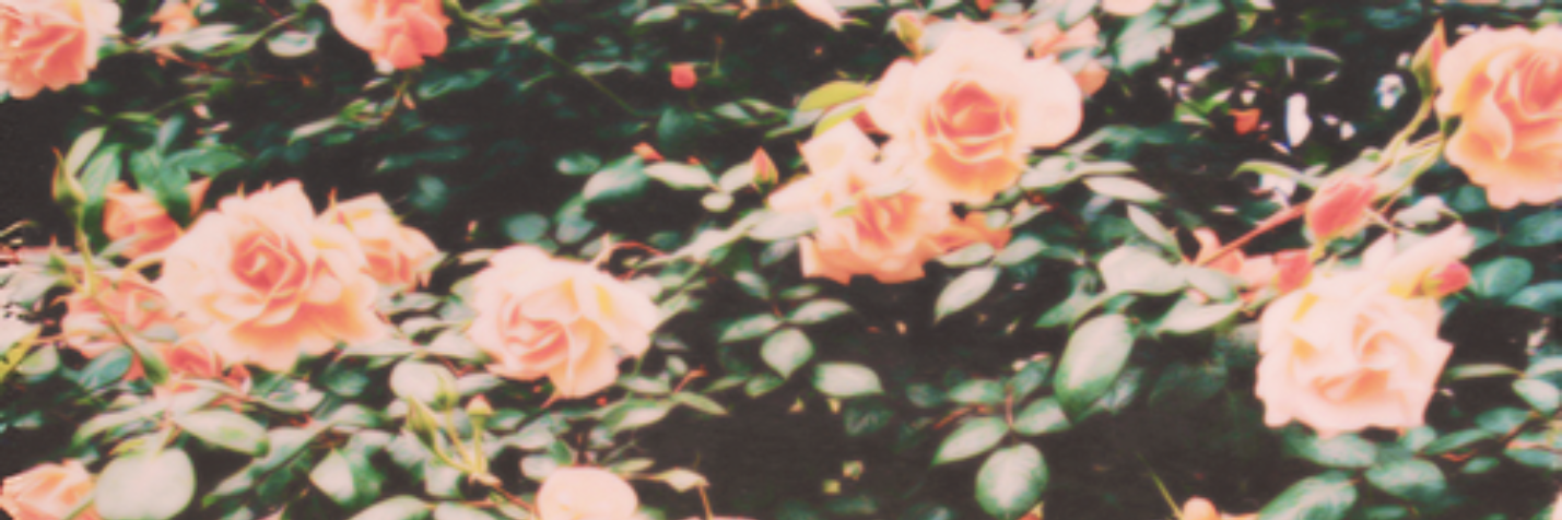 b3_cc4's profile banner image