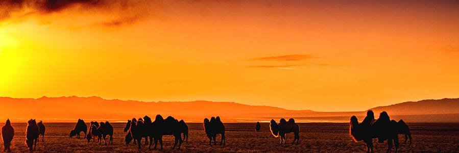 btsnar's profile banner image