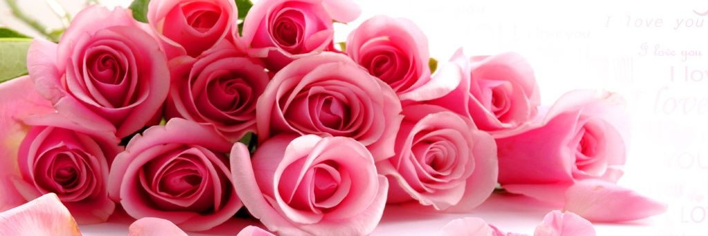 AngelaF06723478's profile banner image