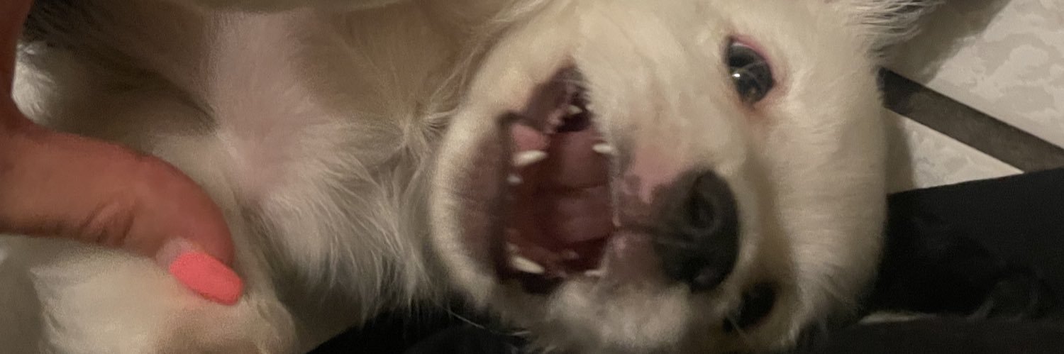 kayphs_'s profile banner image