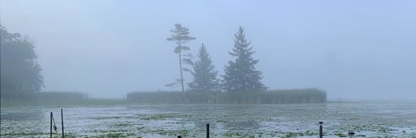 Brian_Polson's profile banner image