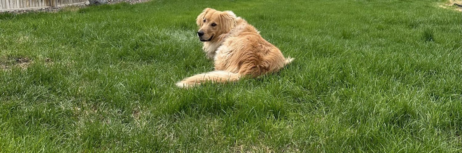 Stacey Sequeira banner