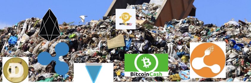 capibitcoin's profile banner image