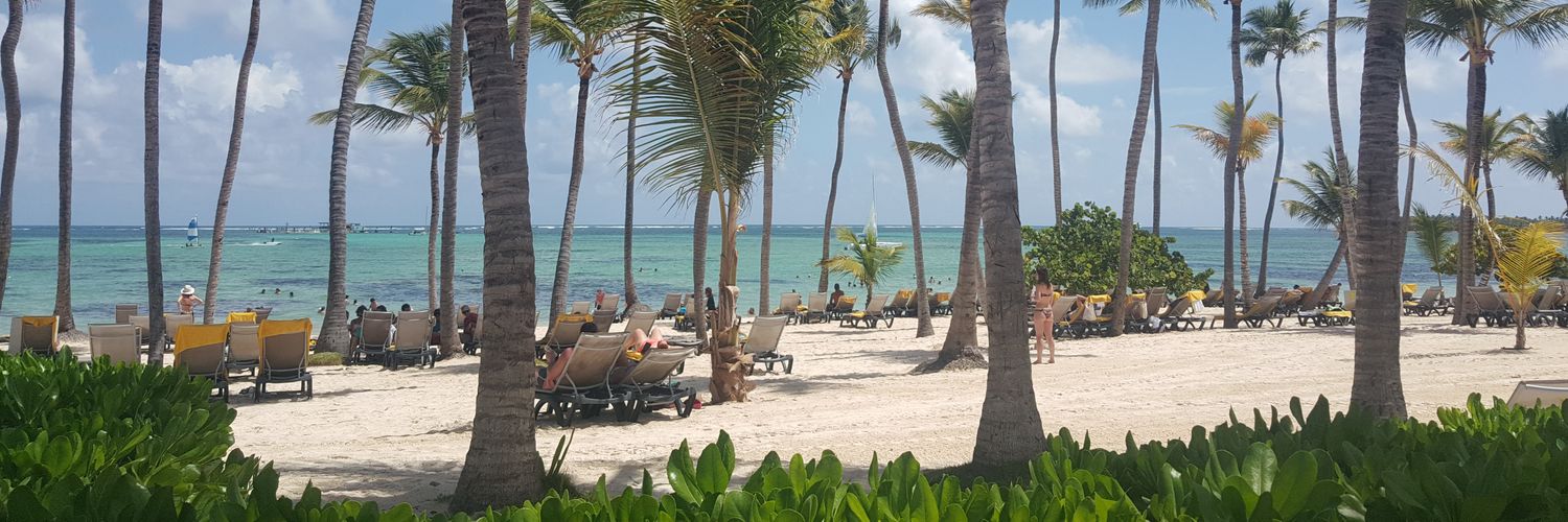 Madelyn Fernández banner