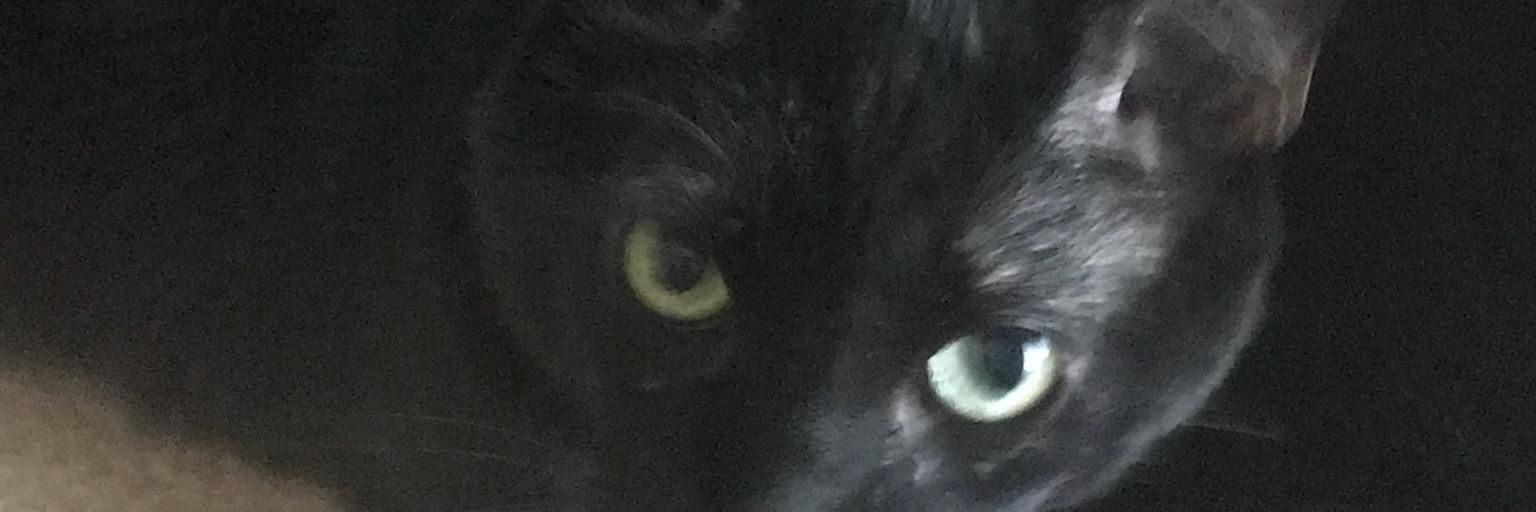 yolandallanas's profile banner image