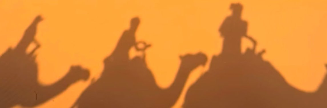 amuse's profile banner image