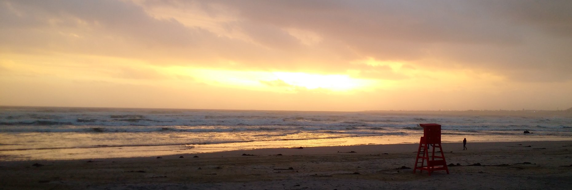 Christa Botha banner