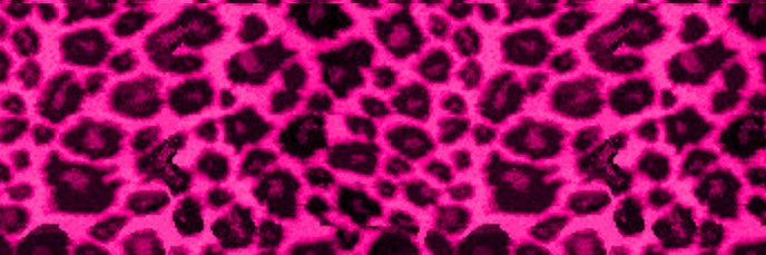 maggiemichals's profile banner image