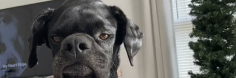 Btaedan's profile banner image