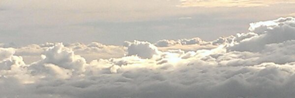 VinceDaily Profile Banner