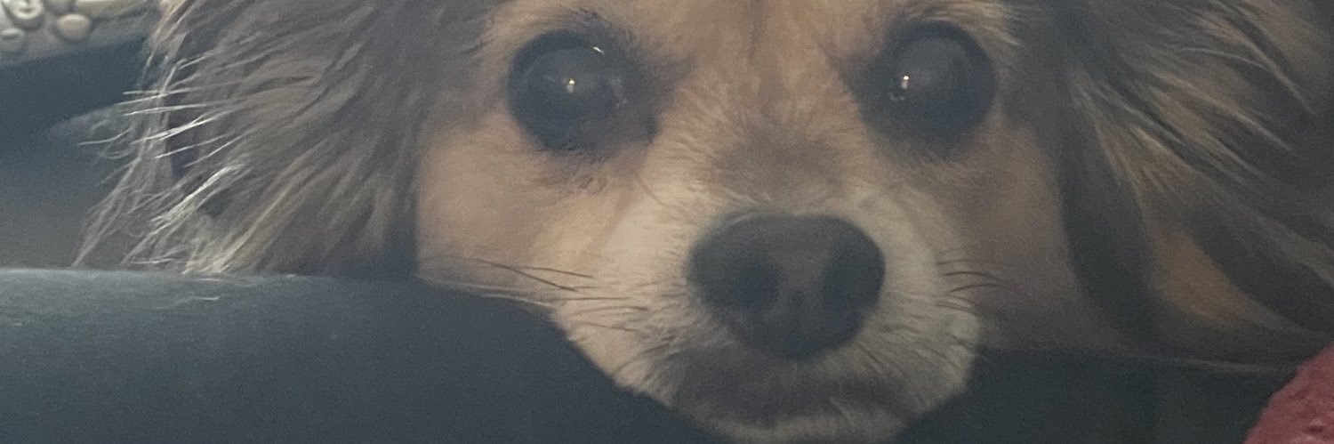 isabellllx2's profile banner image