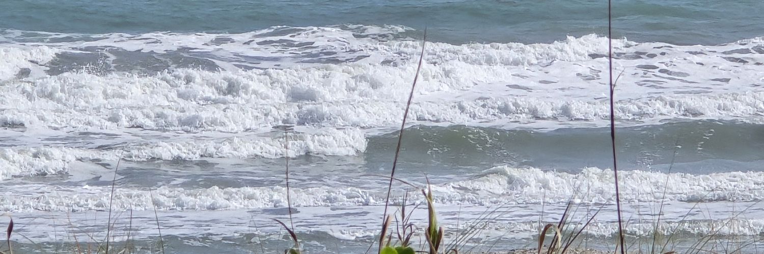 Lori Allard banner