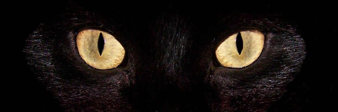 blakcrp's profile banner image