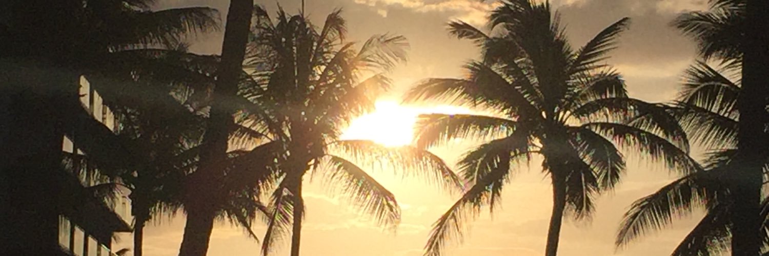 Natasha Junor banner