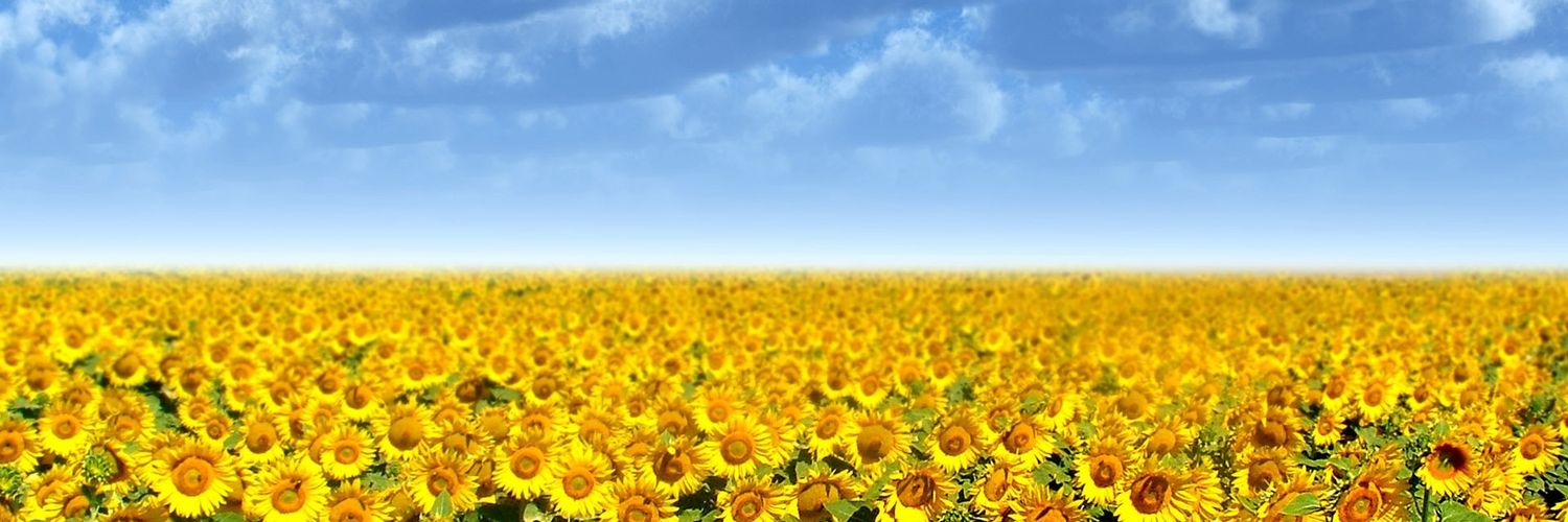 GOPnot4me's profile banner image