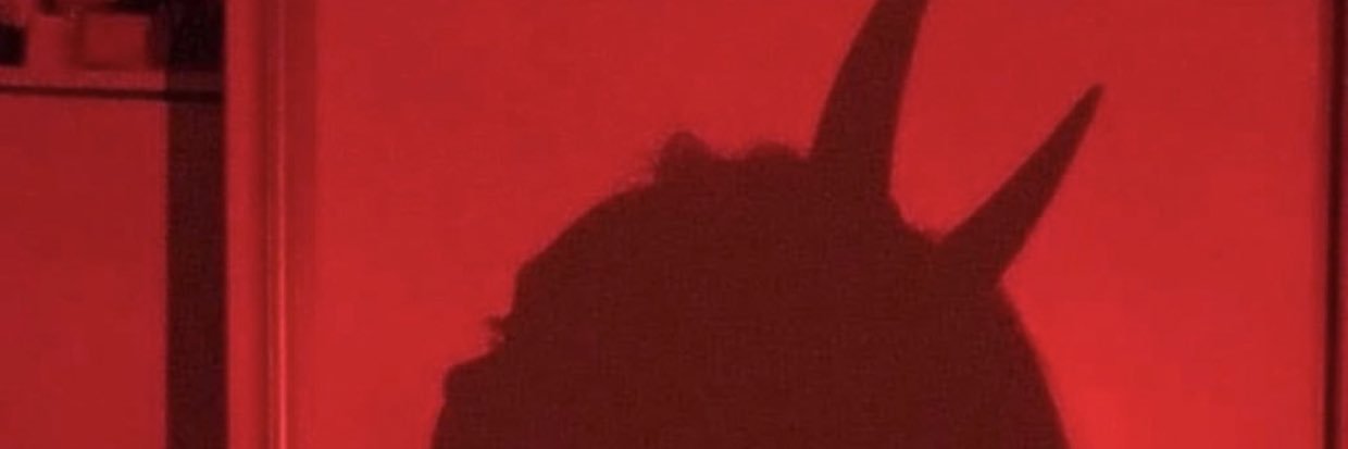 jmxllz's profile banner image