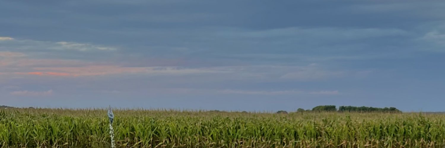 angelamerkle's profile banner image