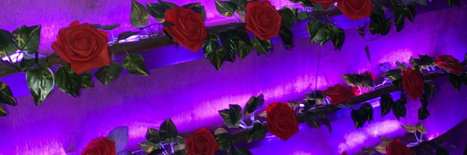 infamous_Alisha's profile banner image