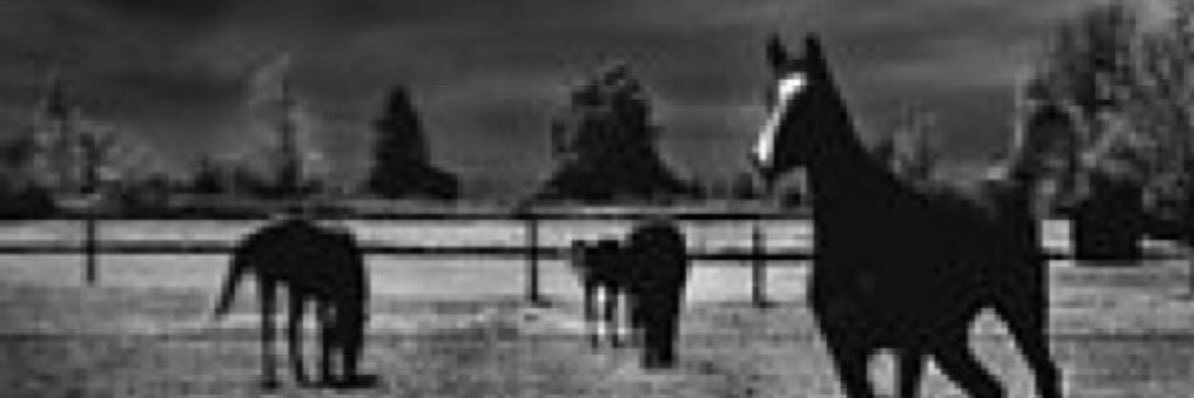 lgitk's profile banner image