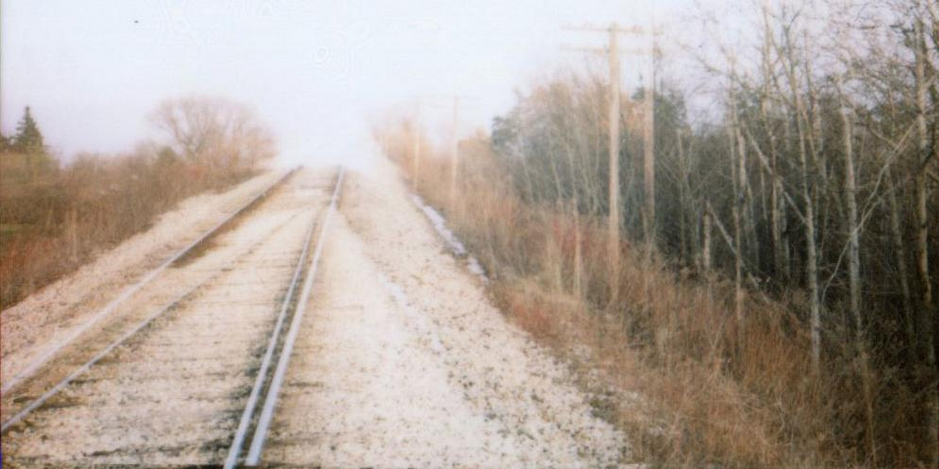 julia_busatto's profile banner image