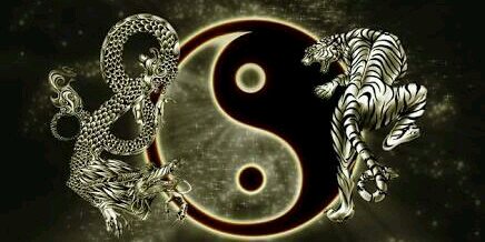 ChengLiaot's profile banner image