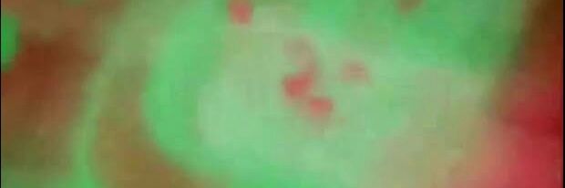 _litosis's profile banner image