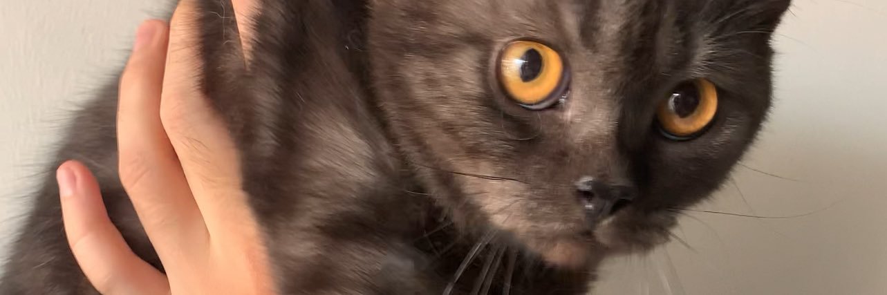 OneSaffwan's profile banner image