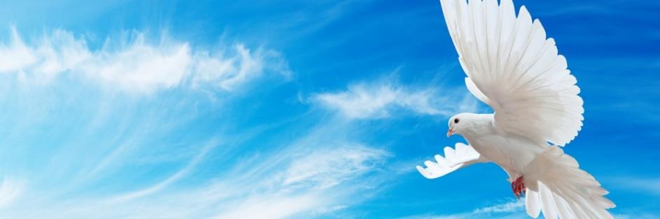 marmac banner