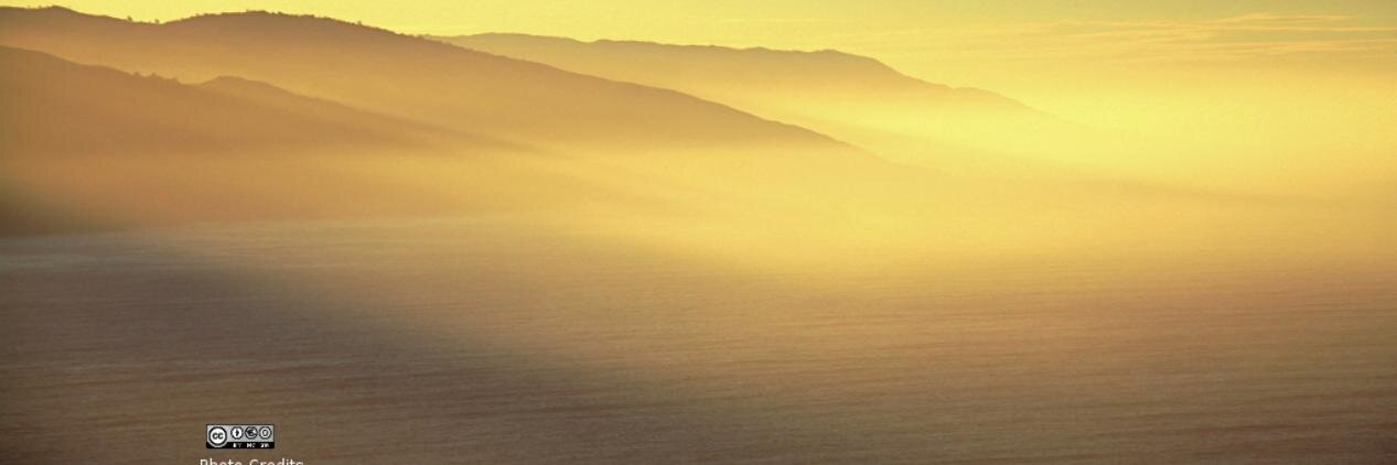 Adriano Gasparri banner