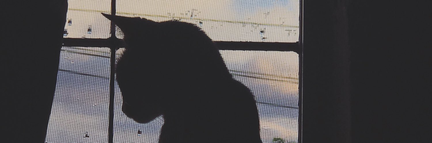 judithtolozza's profile banner image