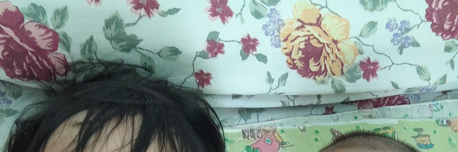 Reskywepe's profile banner image