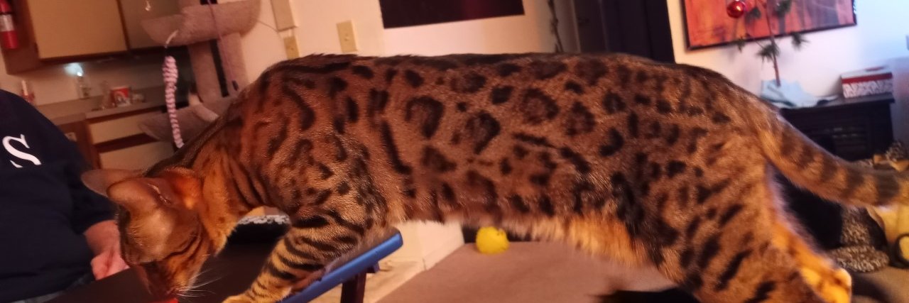 Dslayer298's profile banner image