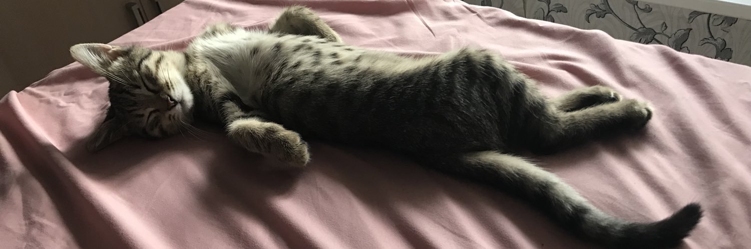 Николай Каравай banner